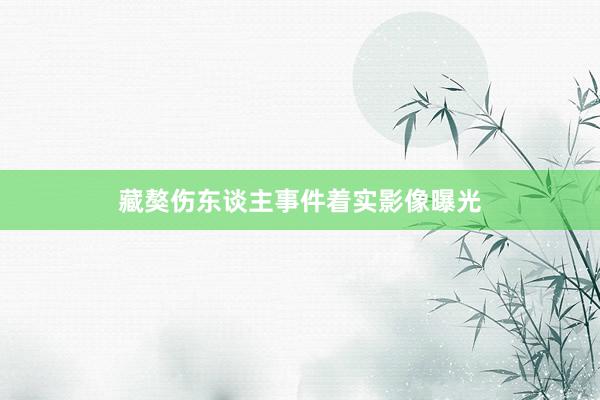 藏獒伤东谈主事件着实影像曝光